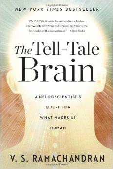 the tell tale brain