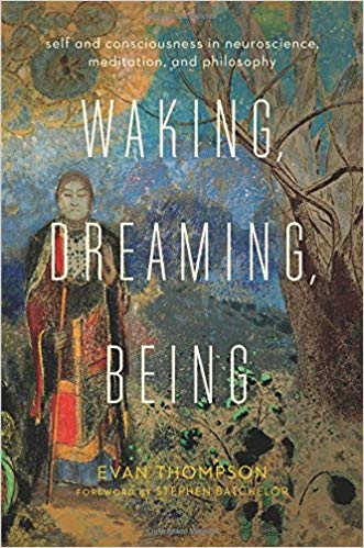 Waking, Dreaming, Being